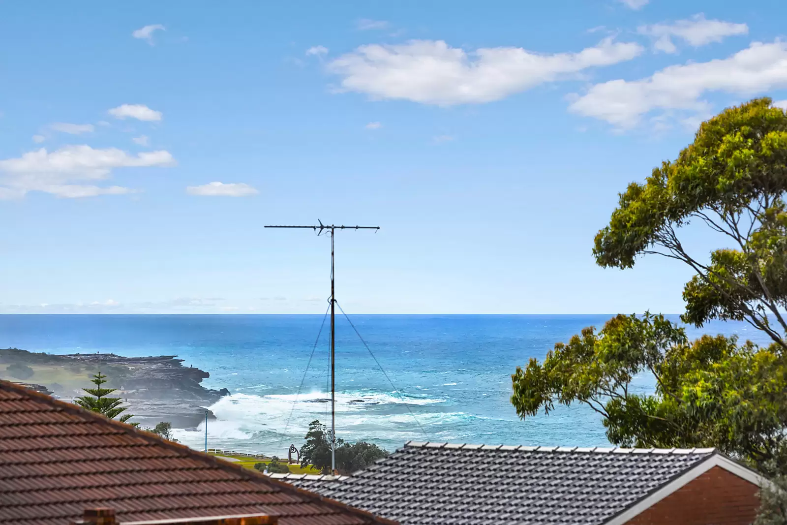 5/20 Carr Street, Coogee Sold by Sydney Sotheby's International Realty - image 3