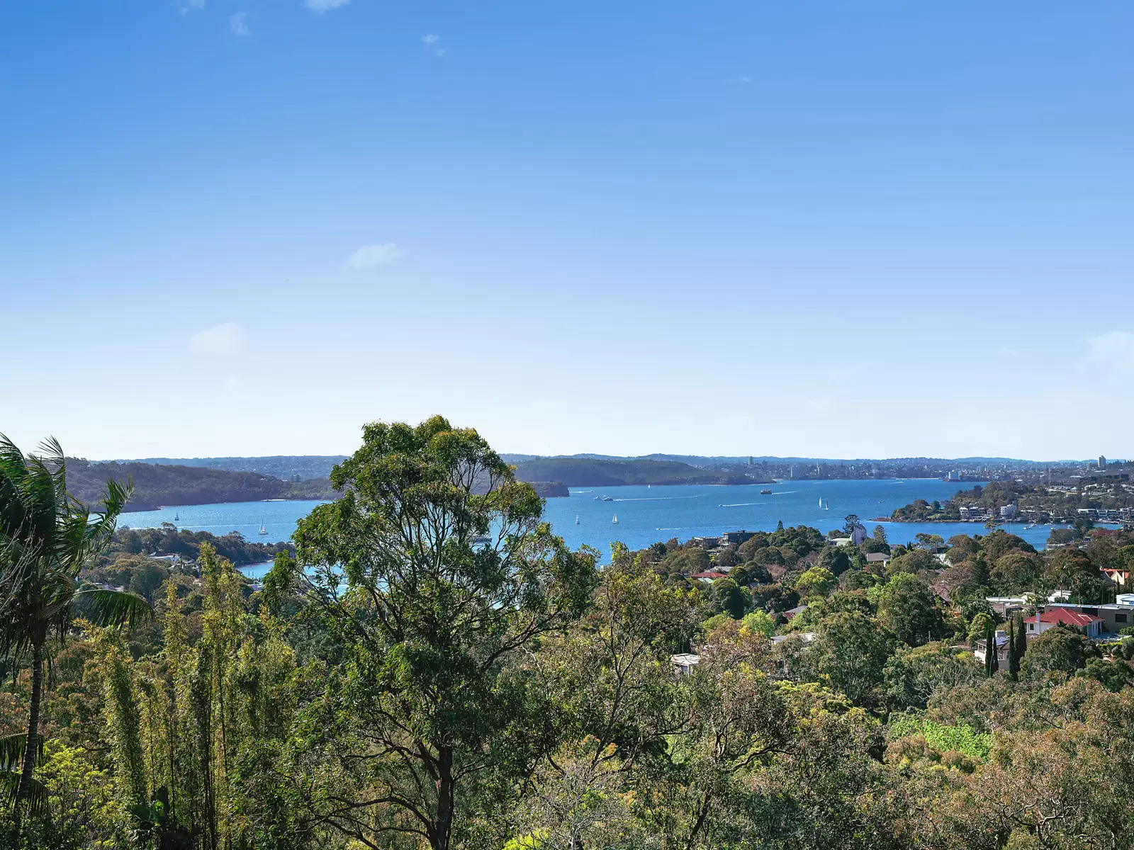 2 Hopetoun Avenue, Vaucluse Auction by Sydney Sotheby's International Realty - image 16