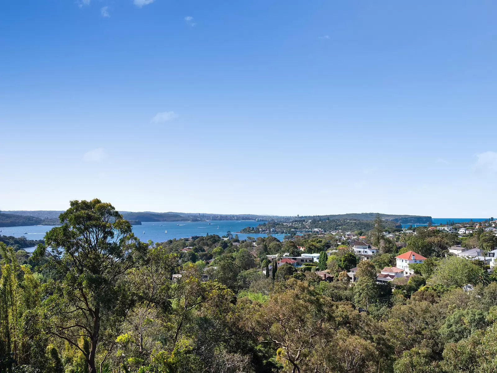 2 Hopetoun Avenue, Vaucluse Auction by Sydney Sotheby's International Realty - image 9