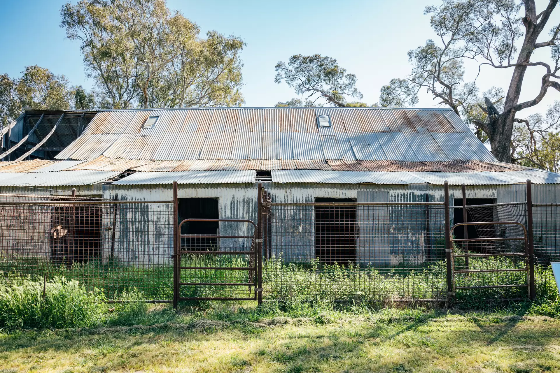 1301 Bedgerabong Road, Forbes For Sale by Sydney Sotheby's International Realty - image 5