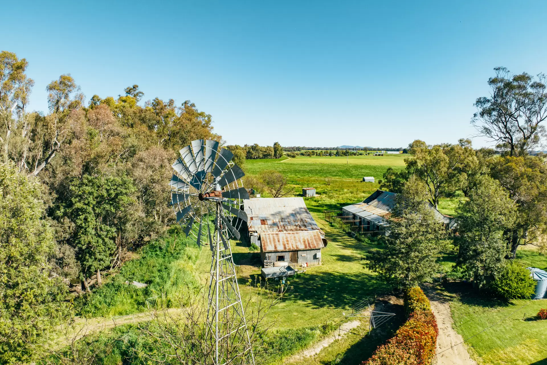 1301 Bedgerabong Road, Forbes For Sale by Sydney Sotheby's International Realty - image 1