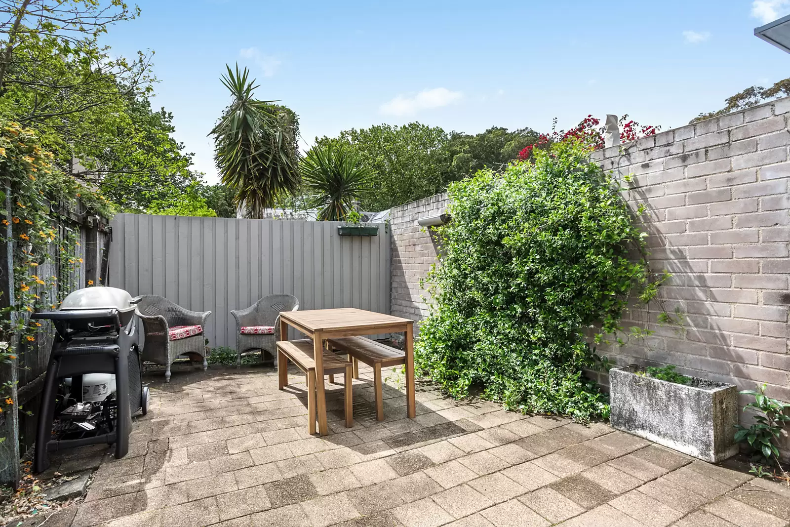 40 Caledonia Street, Paddington Auction by Sydney Sotheby's International Realty - image 3