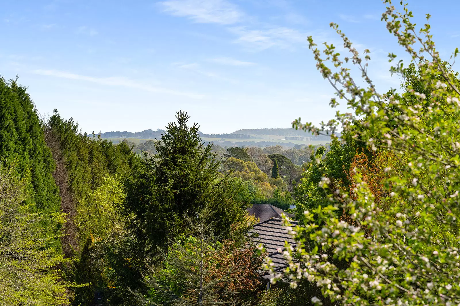 5 Carisbrooke Row, Bowral For Sale by Sydney Sotheby's International Realty - image 24