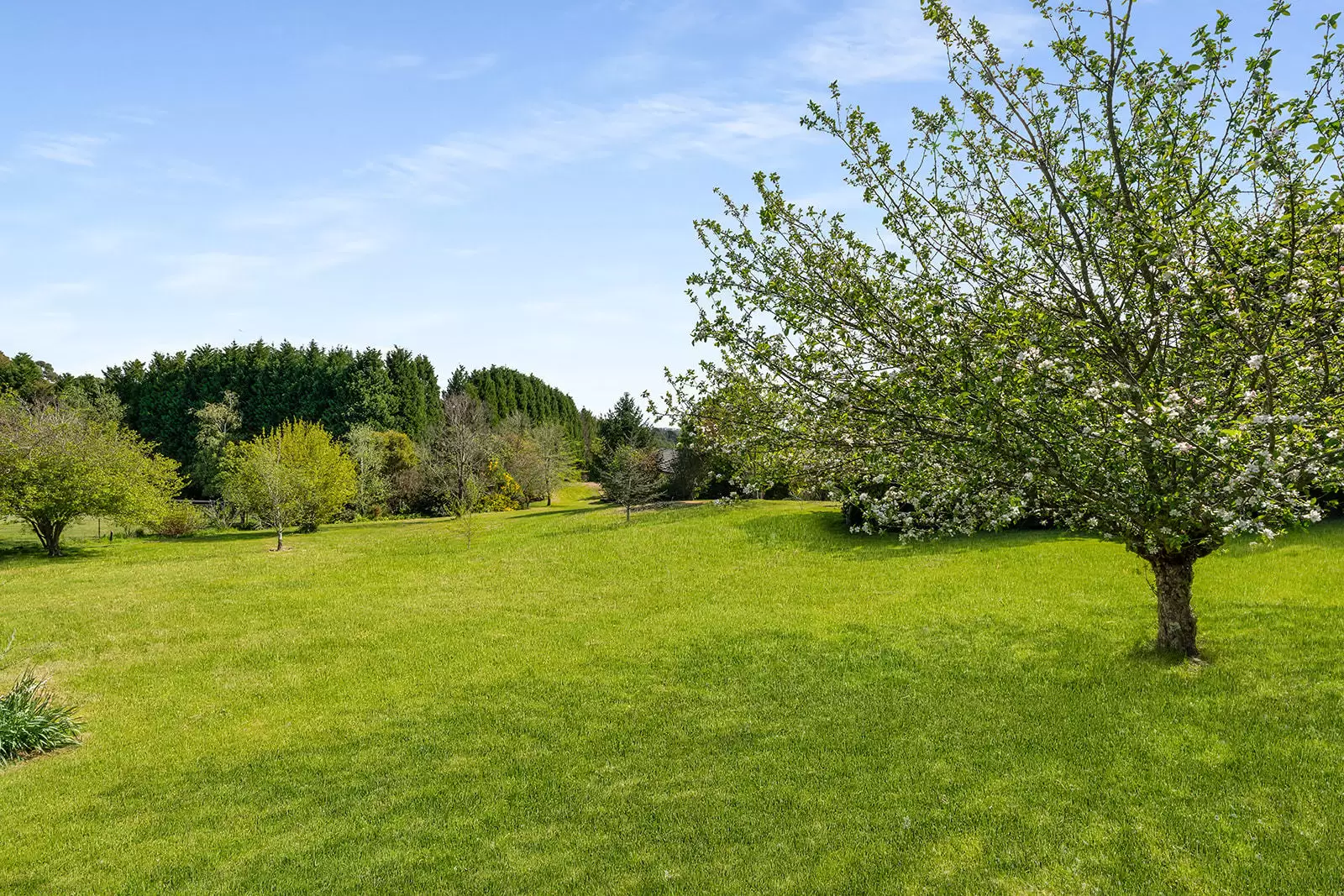 5 Carisbrooke Row, Bowral For Sale by Sydney Sotheby's International Realty - image 23