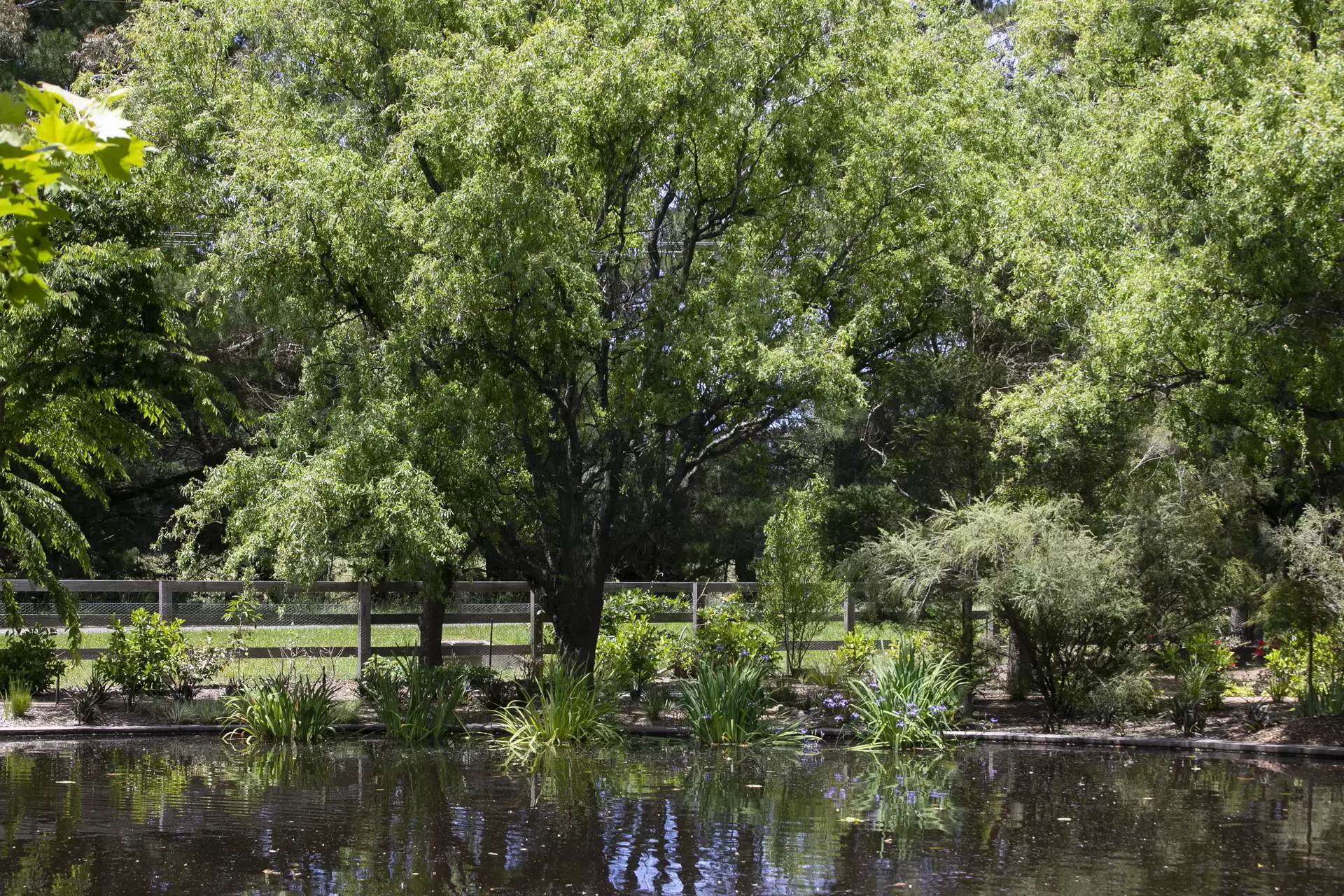 166 Sproules Lane, Glenquarry For Sale by Sydney Sotheby's International Realty - image 26