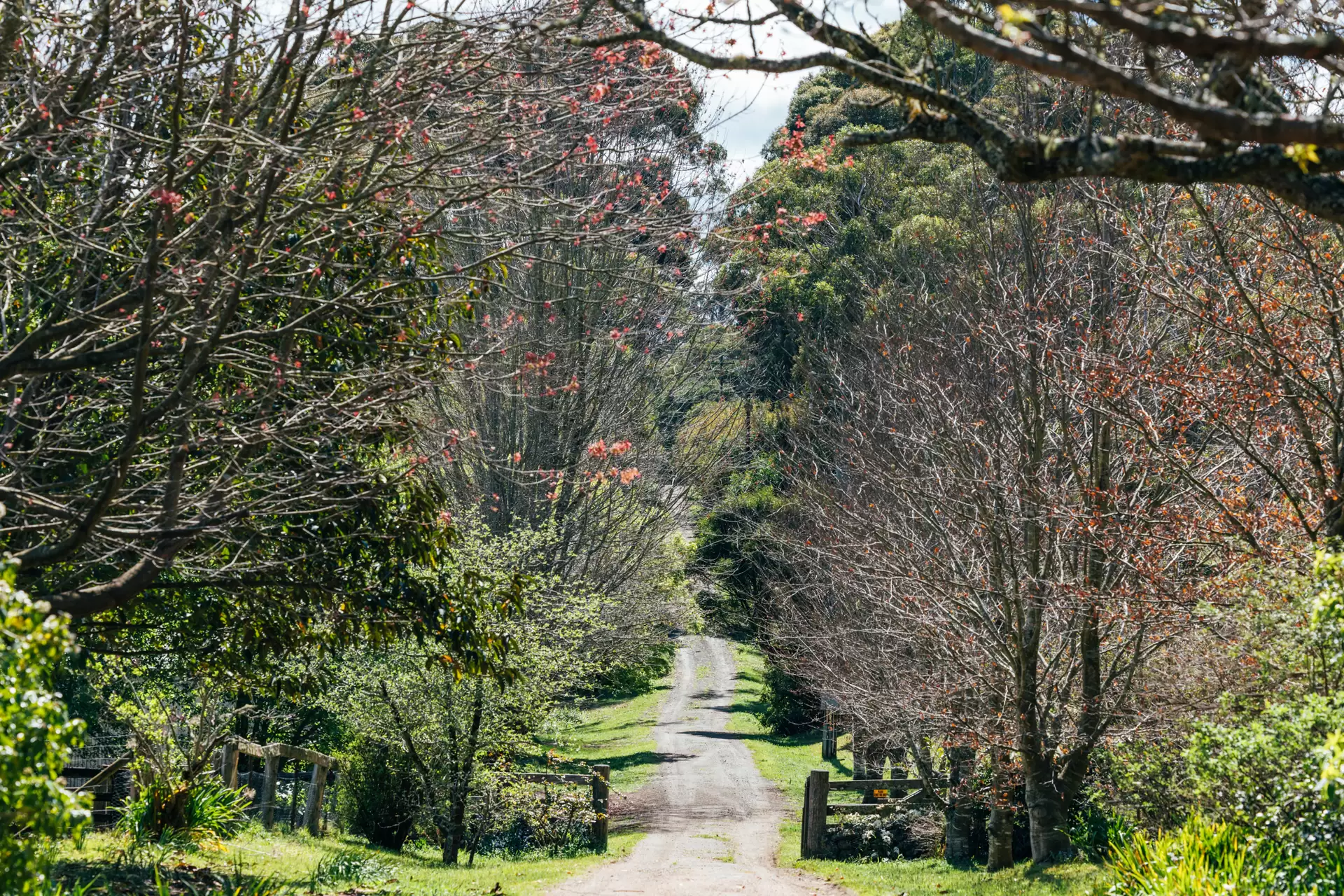 262 Blencowes Lane, Wildes Meadow For Sale by Sydney Sotheby's International Realty - image 23