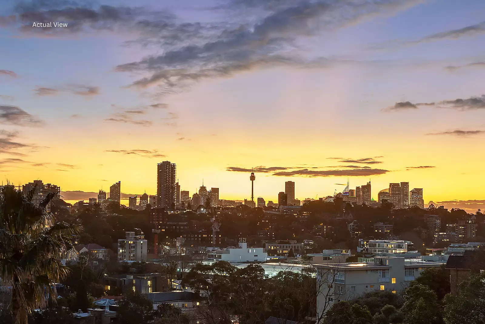 Penthouse/142c Bellevue Road, Bellevue Hill Auction by Sydney Sotheby's International Realty - image 1