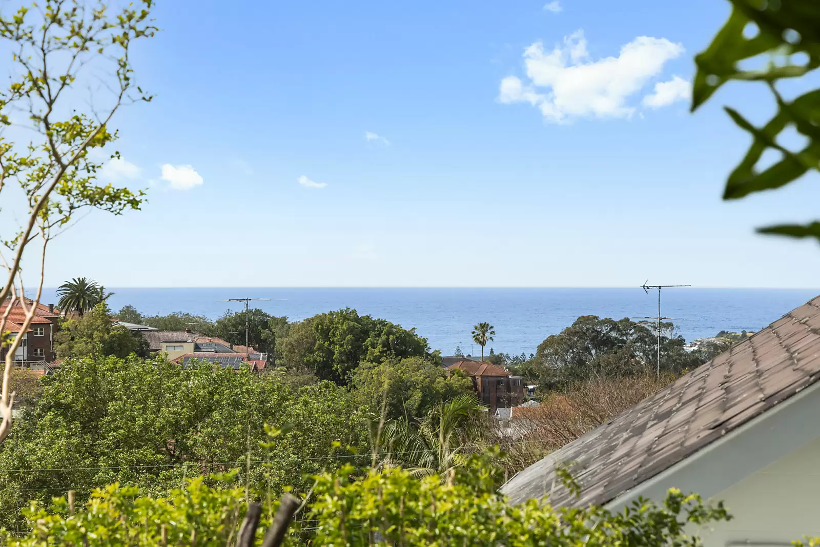 1 Dick Street, Randwick For Sale by Sydney Sotheby's International Realty - image 12