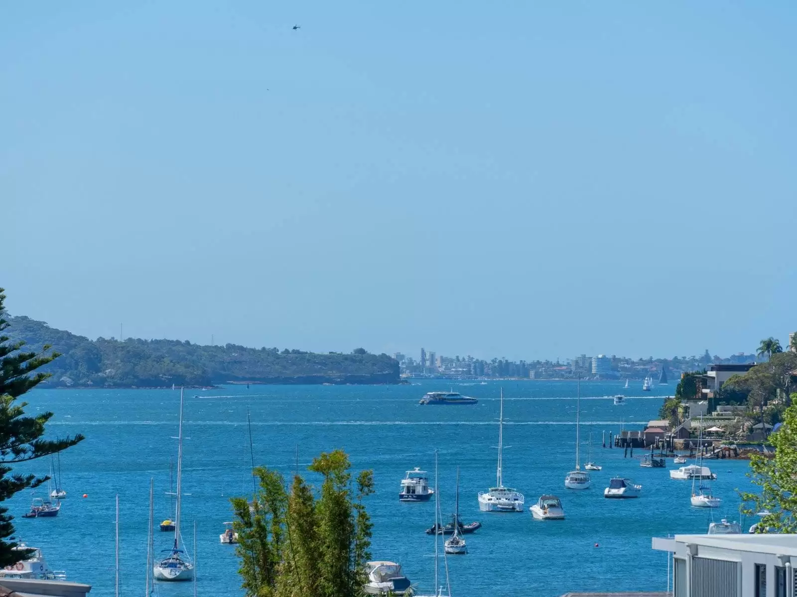 7/45-51 Cross Street, Double Bay Auction by Sydney Sotheby's International Realty - image 3