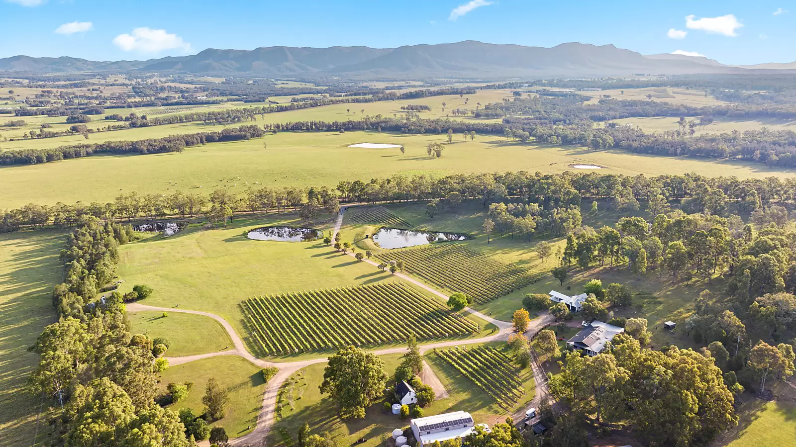 447 Old North Road, Pokolbin For Sale by Sydney Sotheby's International Realty - image 13