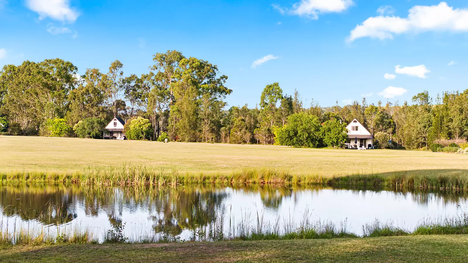 447 Old North Road, Pokolbin For Sale by Sydney Sotheby's International Realty - image 7