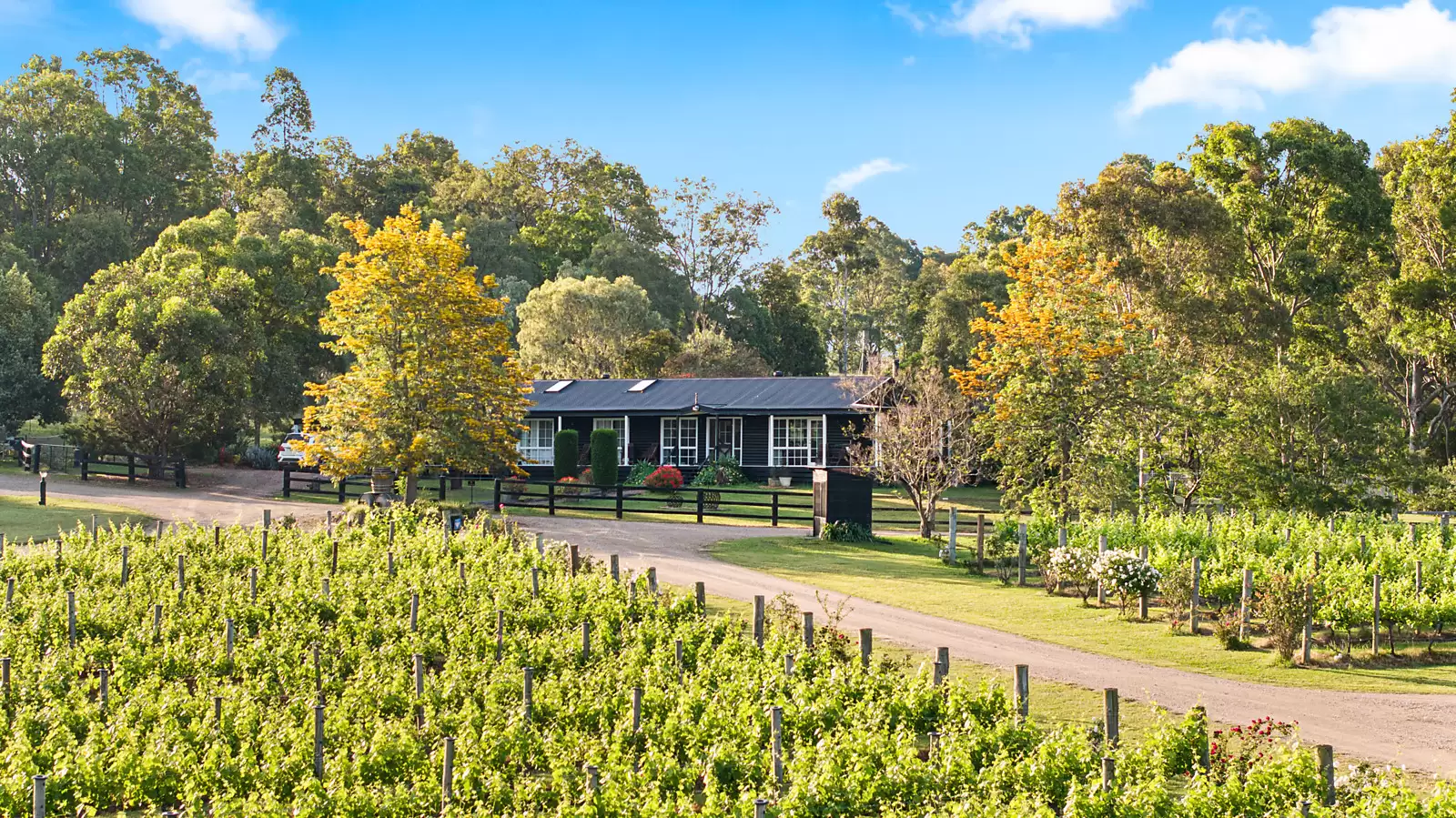 447 Old North Road, Pokolbin For Sale by Sydney Sotheby's International Realty - image 4