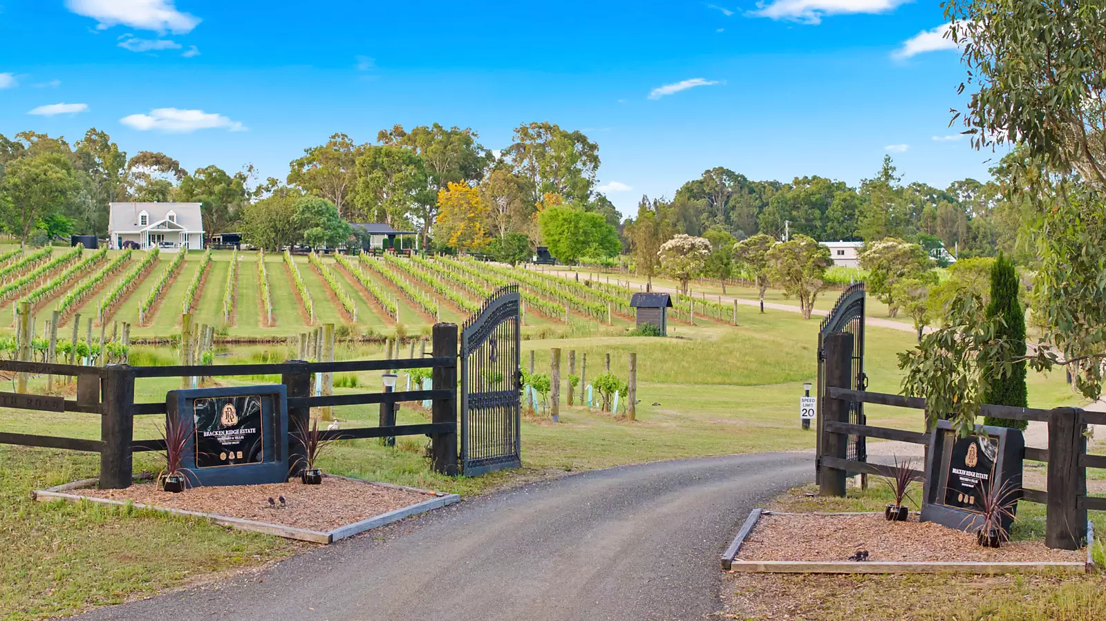 447 Old North Road, Pokolbin For Sale by Sydney Sotheby's International Realty - image 14