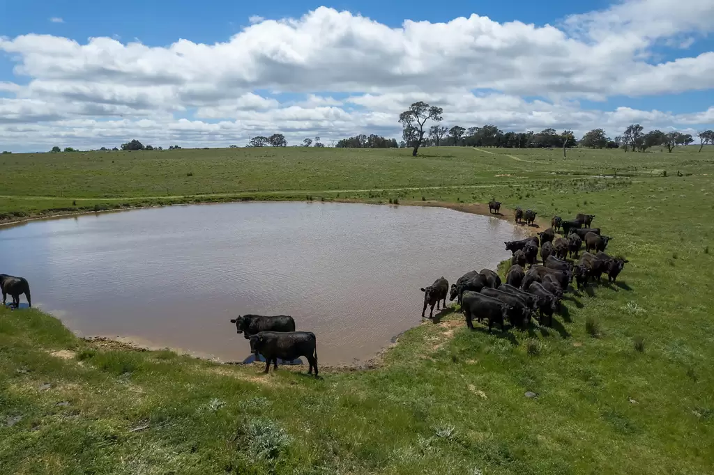 239 Longrail Gully Road, Murrumbateman Sold by Sydney Sotheby's International Realty