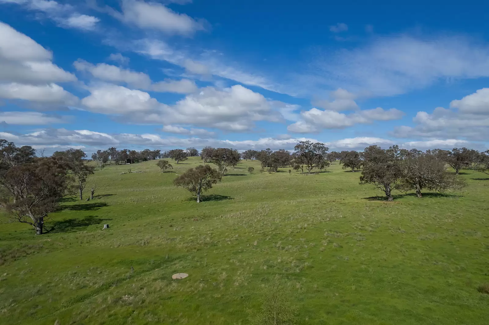 239 Longrail Gully Road, Murrumbateman Auction by Sydney Sotheby's International Realty - image 5