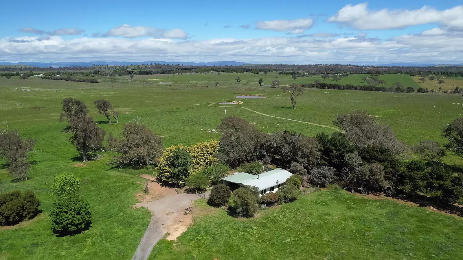 239 Longrail Gully Road, Murrumbateman Auction by Sydney Sotheby's International Realty - image 16