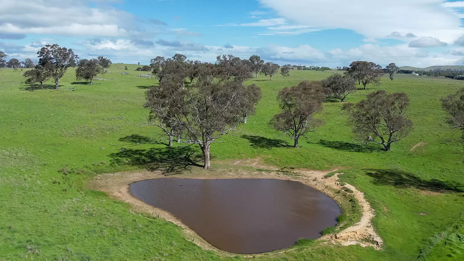 239 Longrail Gully Road, Murrumbateman Auction by Sydney Sotheby's International Realty - image 13