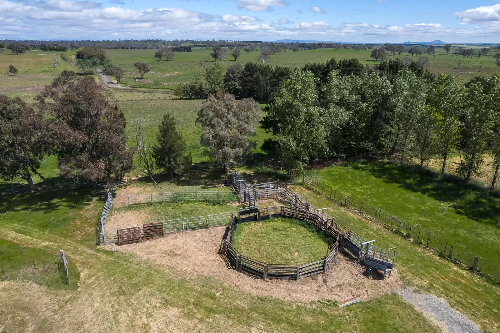 239 Longrail Gully Road, Murrumbateman Auction by Sydney Sotheby's International Realty - image 18