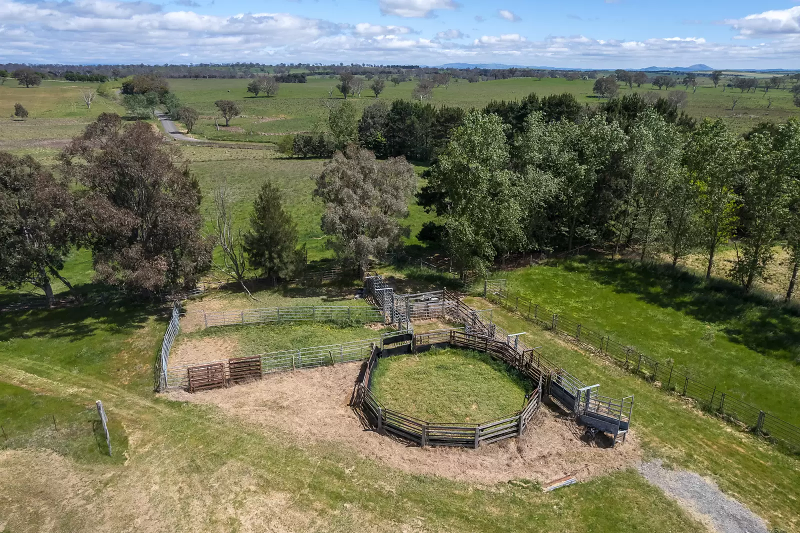 239 Longrail Gully Road, Murrumbateman Auction by Sydney Sotheby's International Realty - image 10