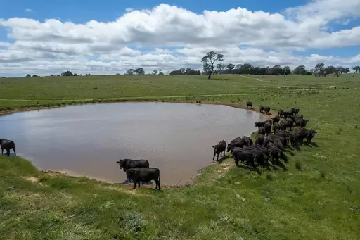 239 Longrail Gully Road, Murrumbateman Auction by Sydney Sotheby's International Realty