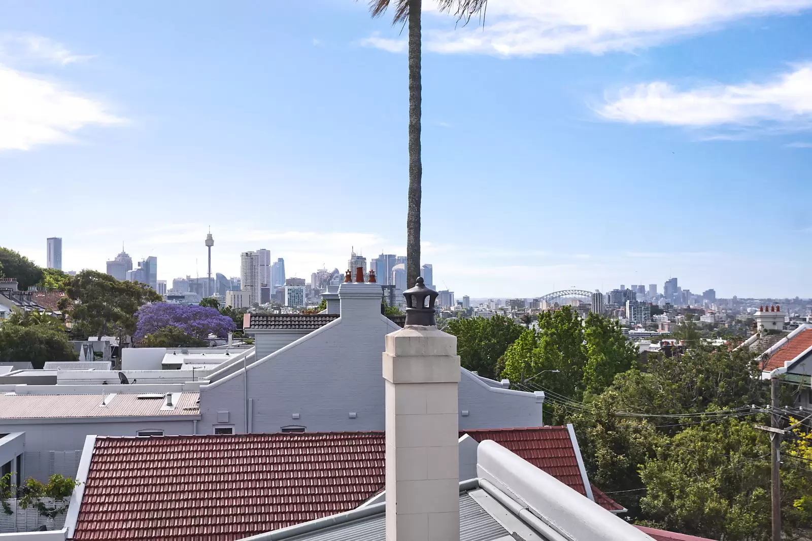 146 Jersey Road, Paddington Auction by Sydney Sotheby's International Realty - image 10