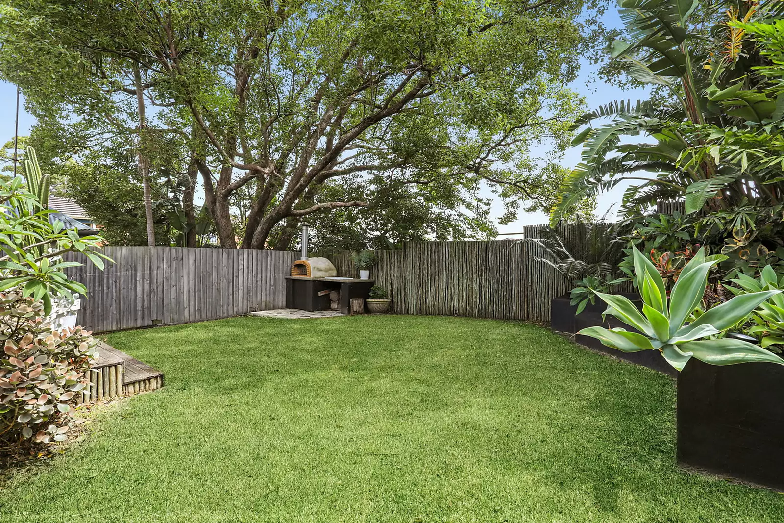 24 Paton Street, Kingsford Auction by Sydney Sotheby's International Realty - image 7