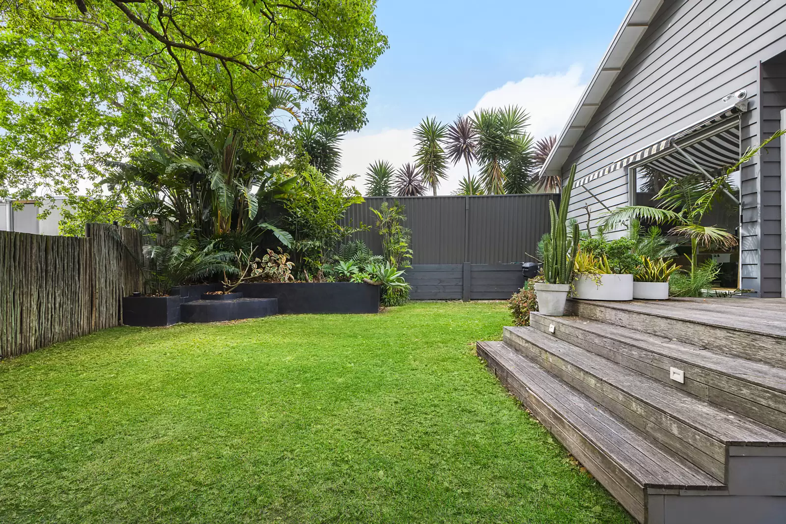 24 Paton Street, Kingsford Auction by Sydney Sotheby's International Realty - image 12