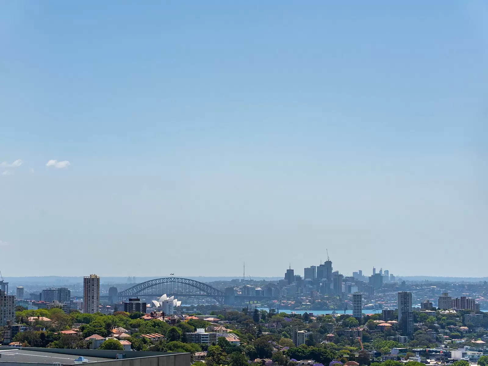 69/2A Hollywood Avenue, Bondi Junction Auction by Sydney Sotheby's International Realty - image 14