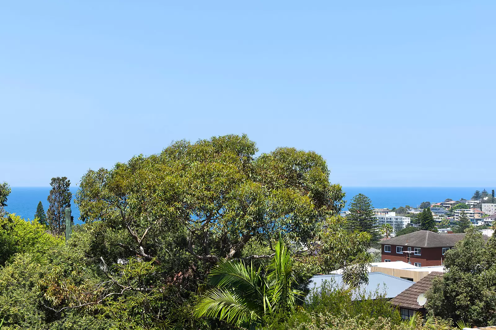 1 Belgrave Street, Bronte Auction by Sydney Sotheby's International Realty - image 17