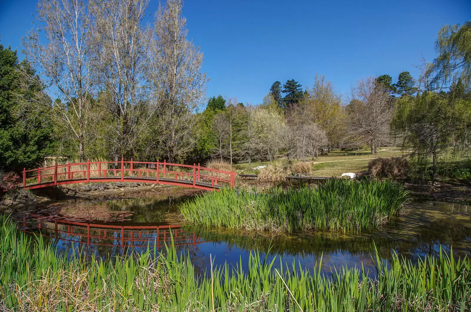 9 Wyndham Avenue, Mount Wilson Auction by Sydney Sotheby's International Realty - image 19