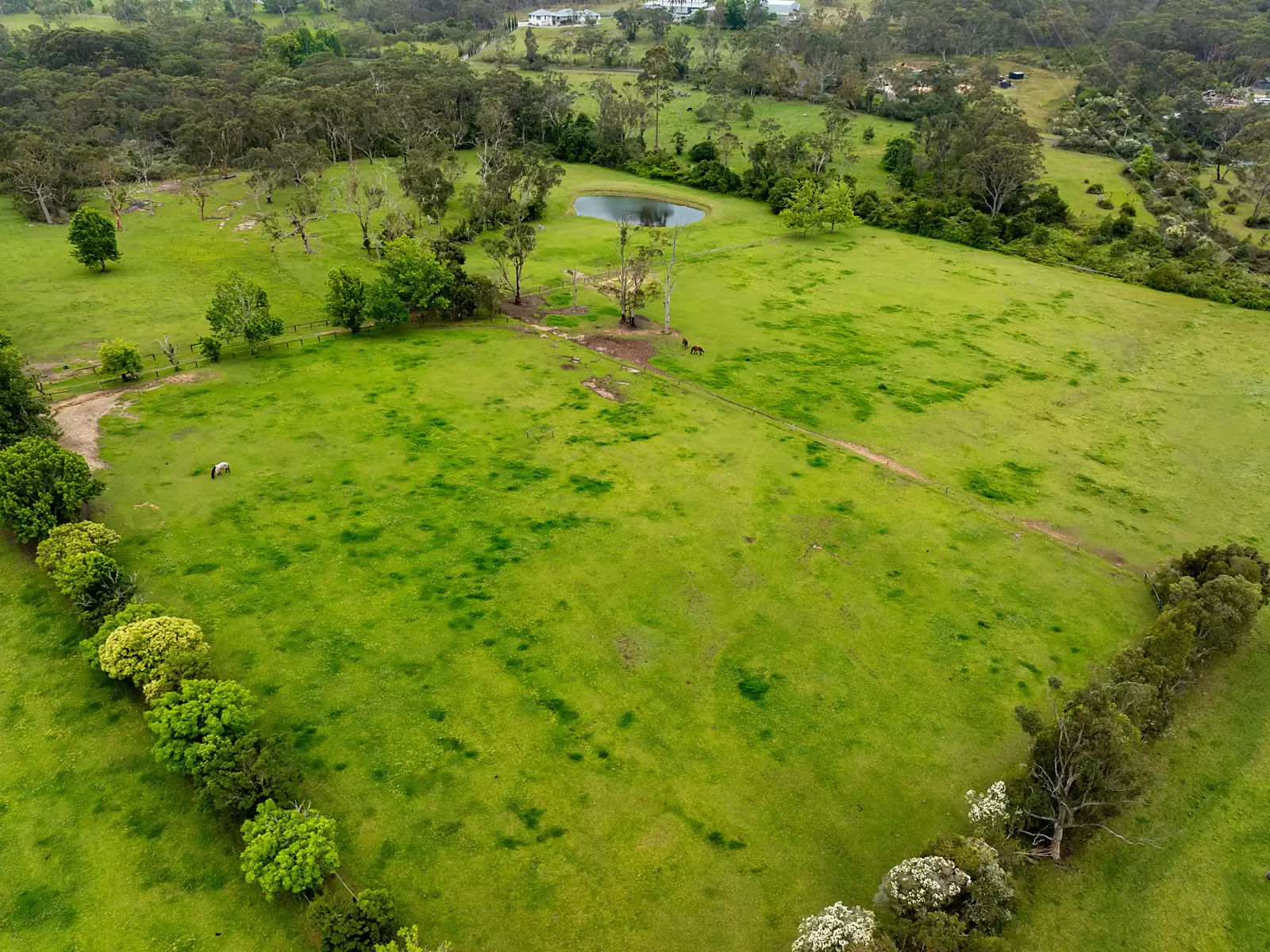 80 Ernbrook Road, Mount White For Sale by Sydney Sotheby's International Realty - image 6