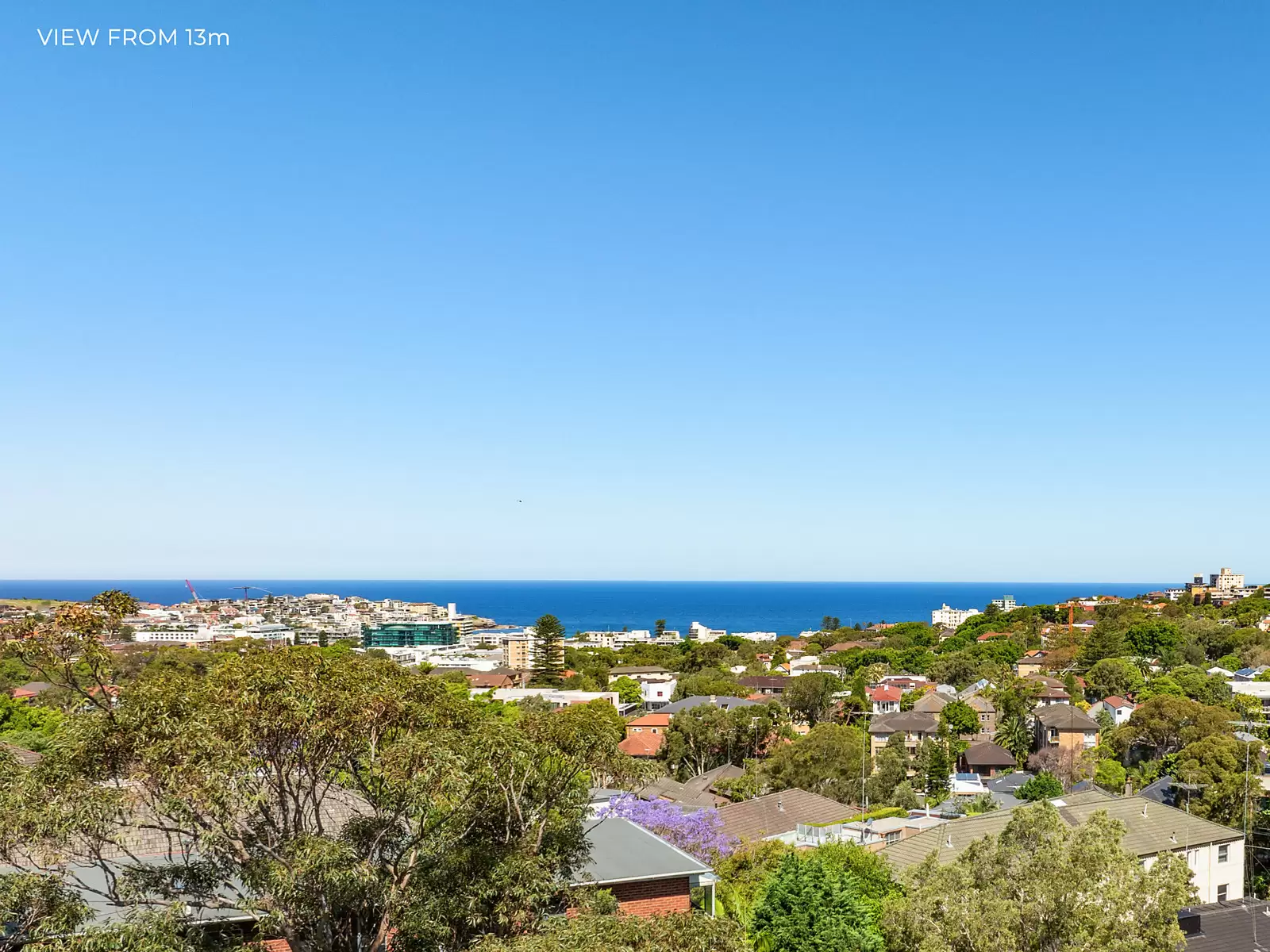 25 Birriga Road, Bellevue Hill For Sale by Sydney Sotheby's International Realty - image 4