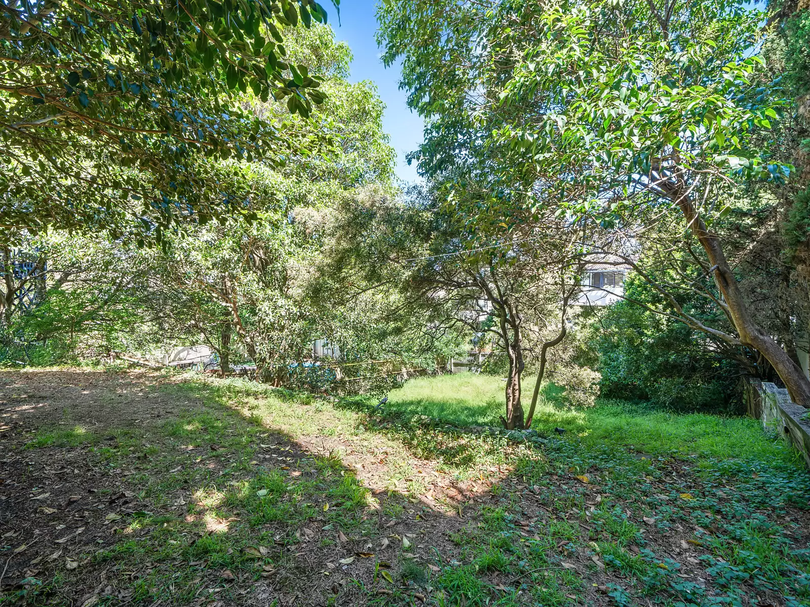 25 Birriga Road, Bellevue Hill For Sale by Sydney Sotheby's International Realty - image 6