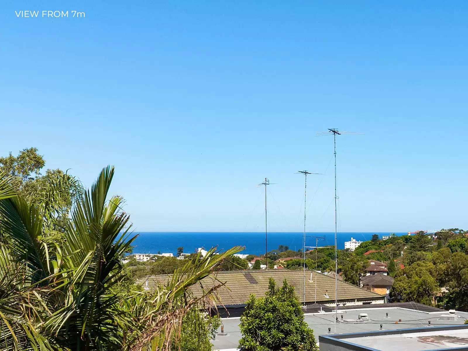 25 Birriga Road, Bellevue Hill For Sale by Sydney Sotheby's International Realty - image 5