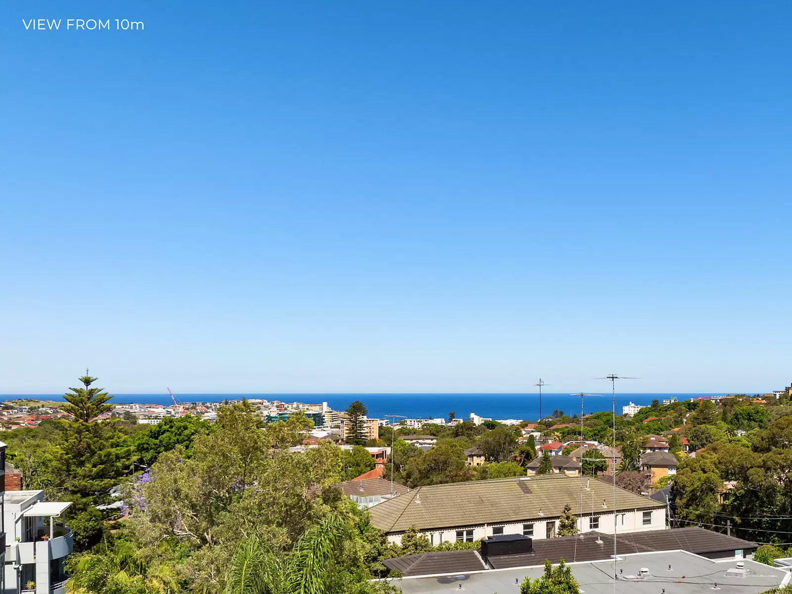 25 Birriga Road, Bellevue Hill For Sale by Sydney Sotheby's International Realty - image 3