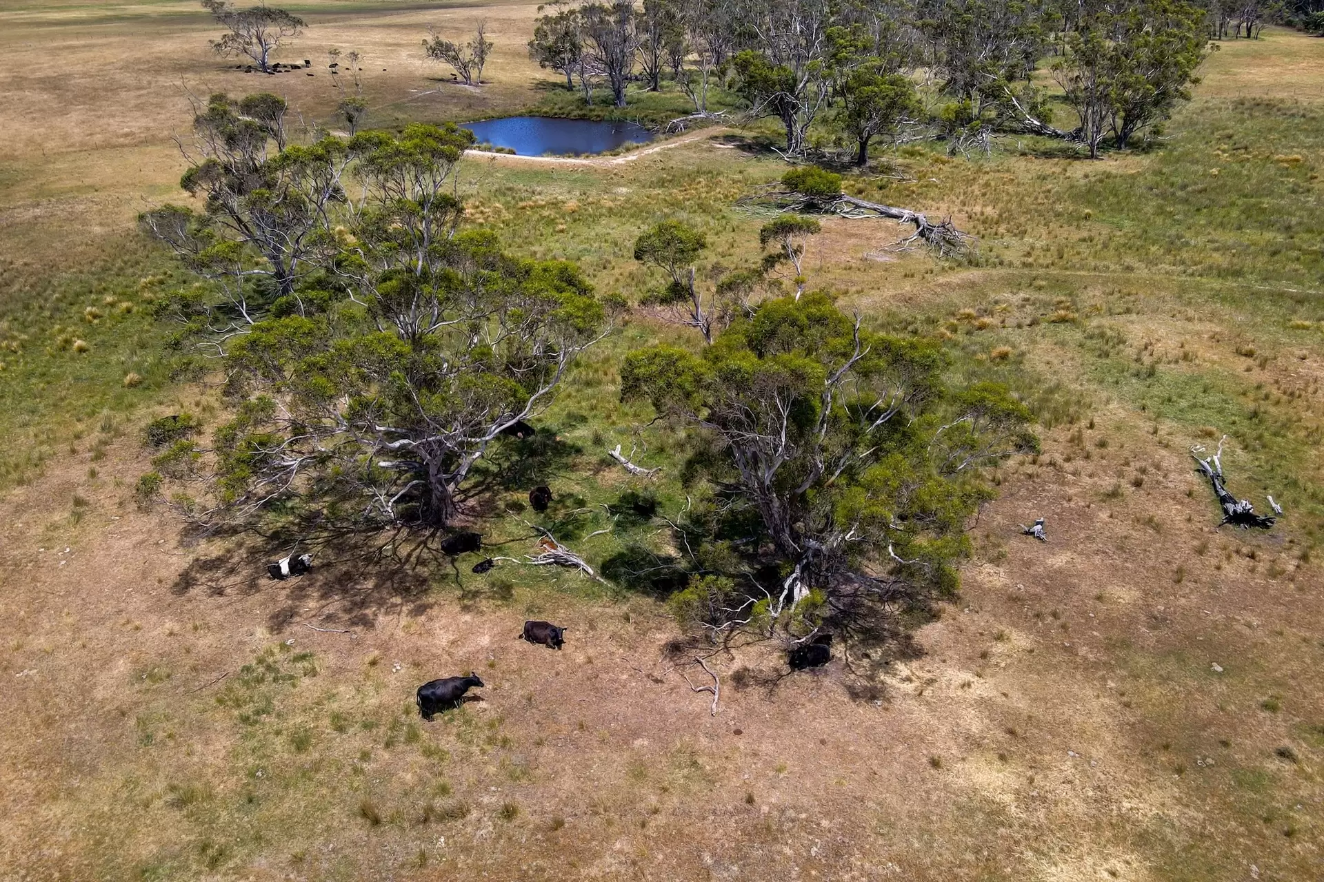 1154 Goulburn Road, Boro For Sale by Sydney Sotheby's International Realty - image 23