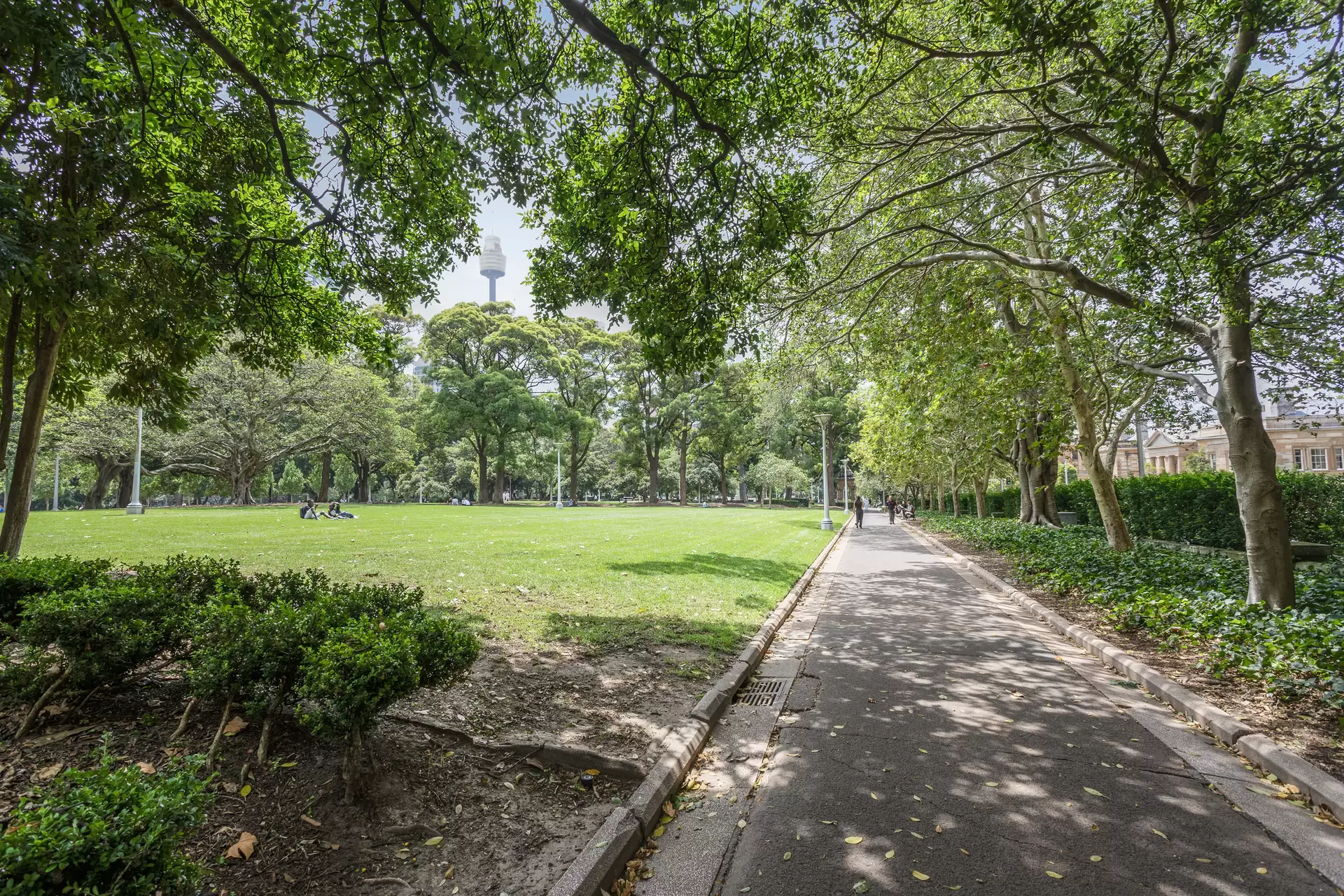 42/18 College Street, Darlinghurst Auction by Sydney Sotheby's International Realty - image 1