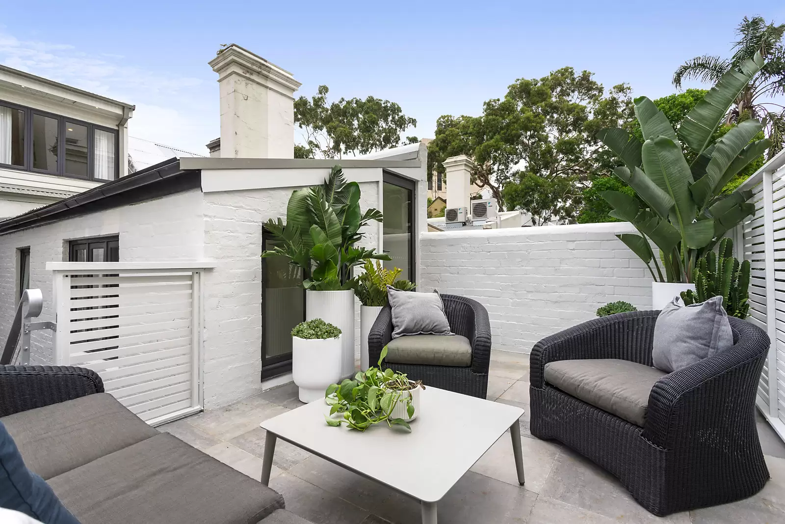 65 Surrey Street, Darlinghurst Auction by Sydney Sotheby's International Realty - image 6