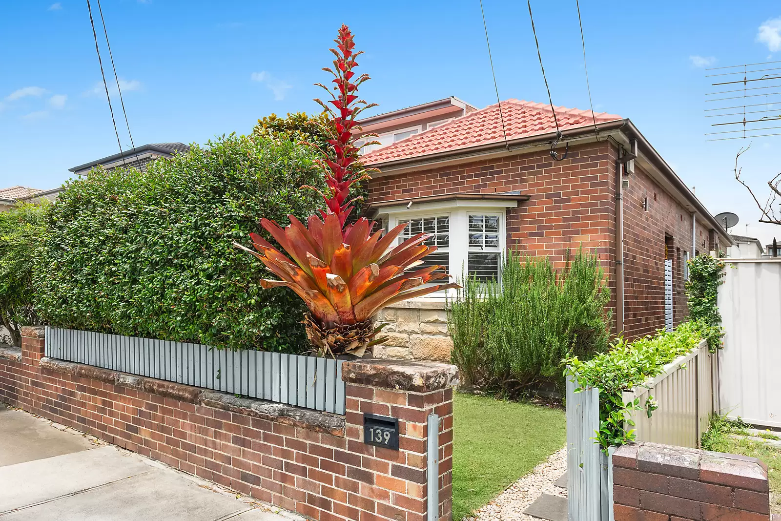 139 Gale Road, Maroubra For Sale by Sydney Sotheby's International Realty - image 5