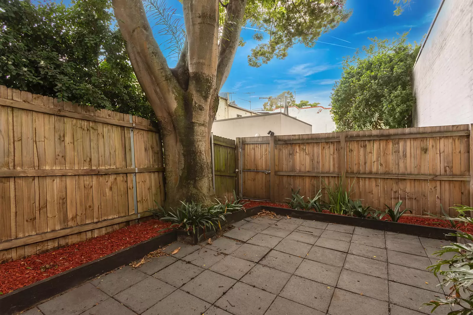 45 Goodhope Street, Paddington Sold by Sydney Sotheby's International Realty - image 4