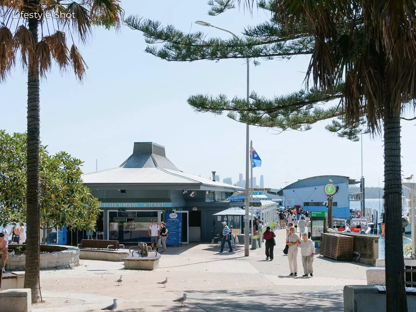 14 Victoria Street, Watsons Bay Auction by Sydney Sotheby's International Realty - image 15