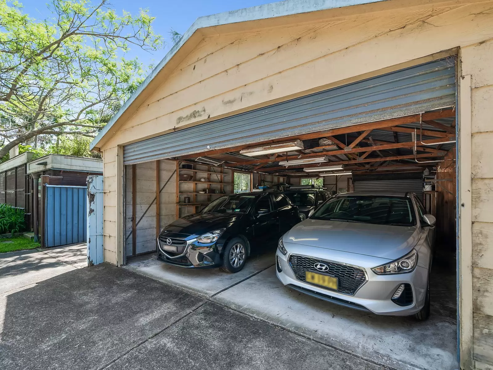 14 Victoria Street, Watsons Bay Auction by Sydney Sotheby's International Realty - image 8