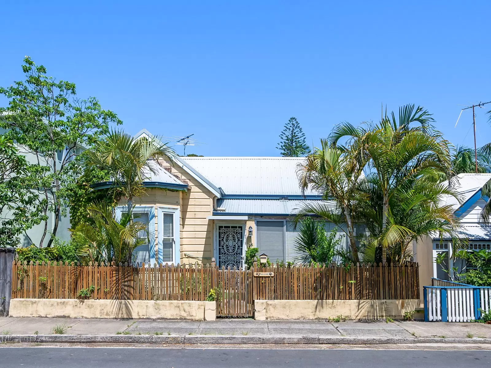 14 Victoria Street, Watsons Bay Auction by Sydney Sotheby's International Realty - image 5