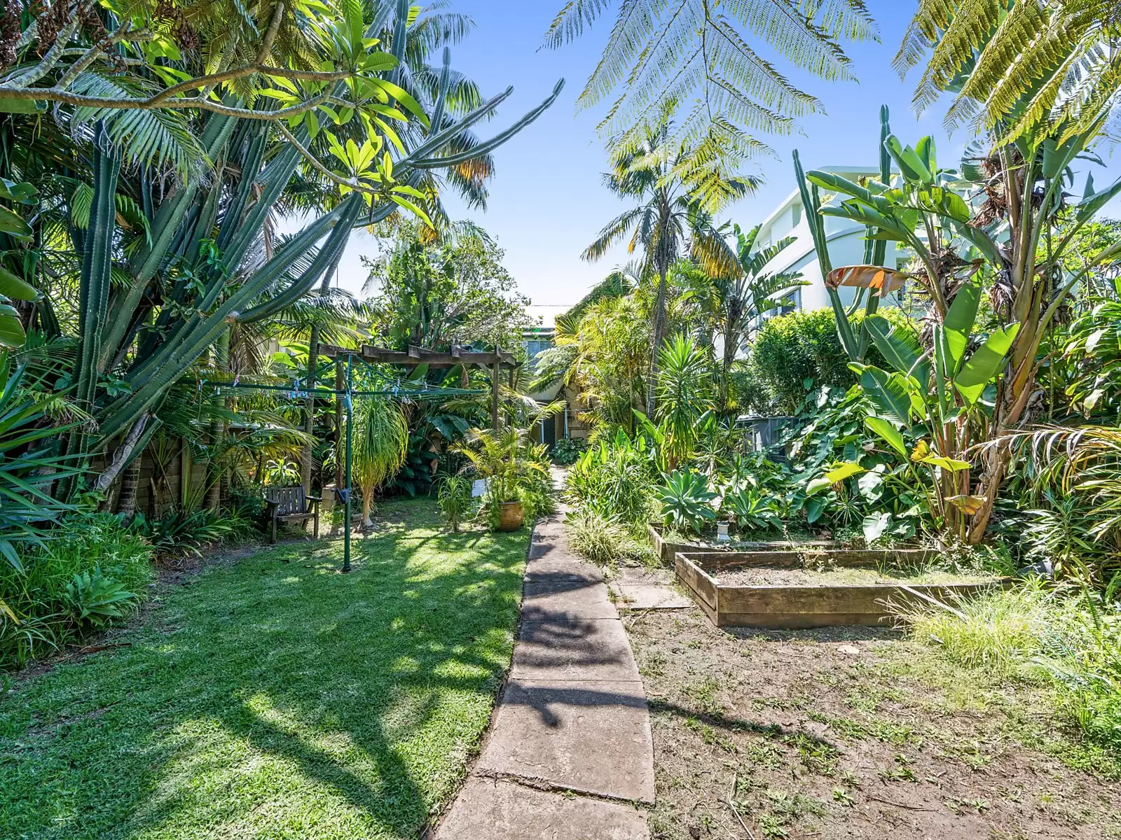 14 Victoria Street, Watsons Bay Auction by Sydney Sotheby's International Realty - image 6