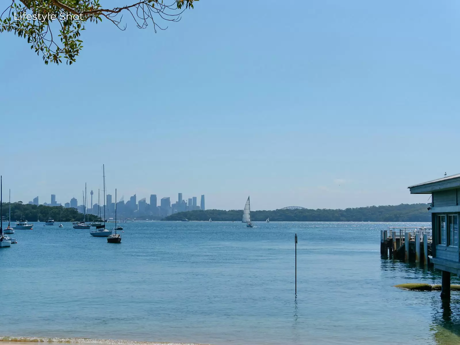 14 Victoria Street, Watsons Bay Auction by Sydney Sotheby's International Realty - image 19