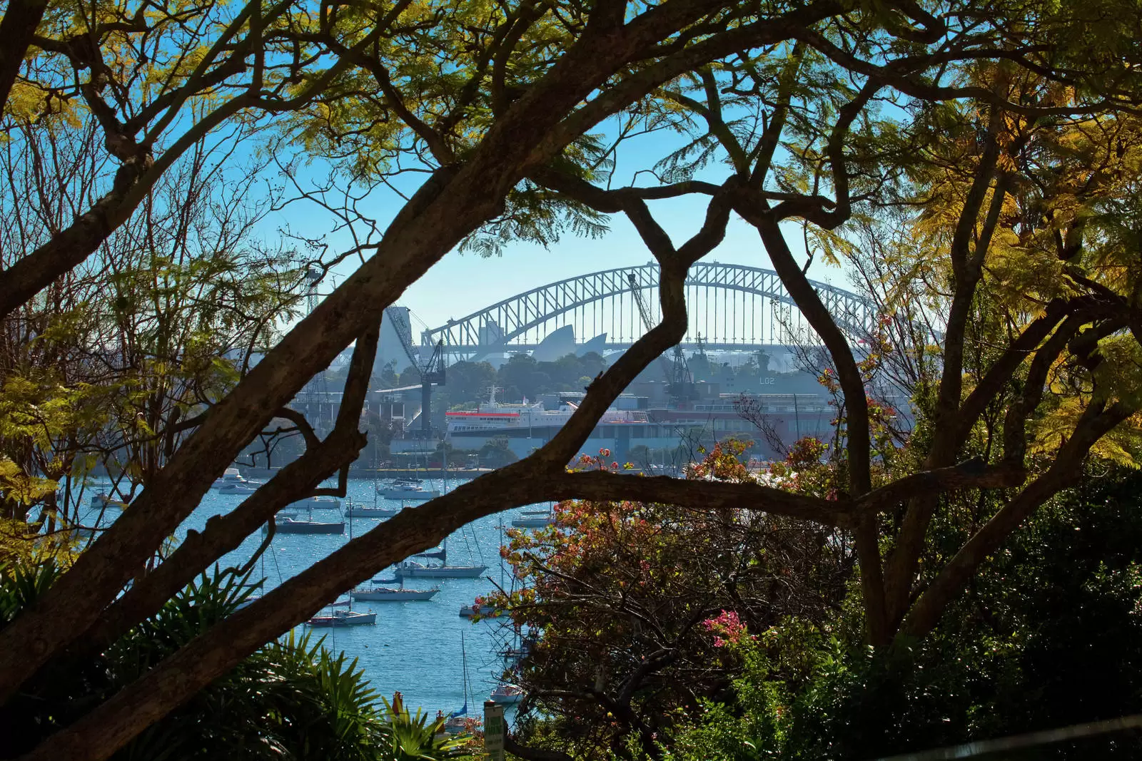 1/10 Yarranabbe Road, Darling Point For Lease by Sydney Sotheby's International Realty - image 22