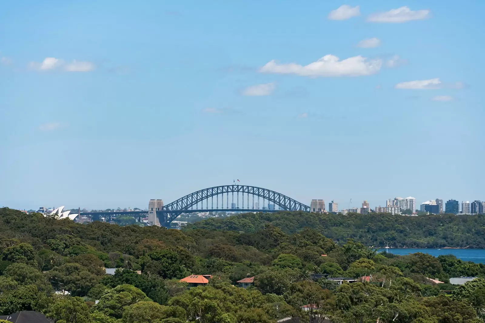 48 Village High Road, Vaucluse Auction by Sydney Sotheby's International Realty - image 14