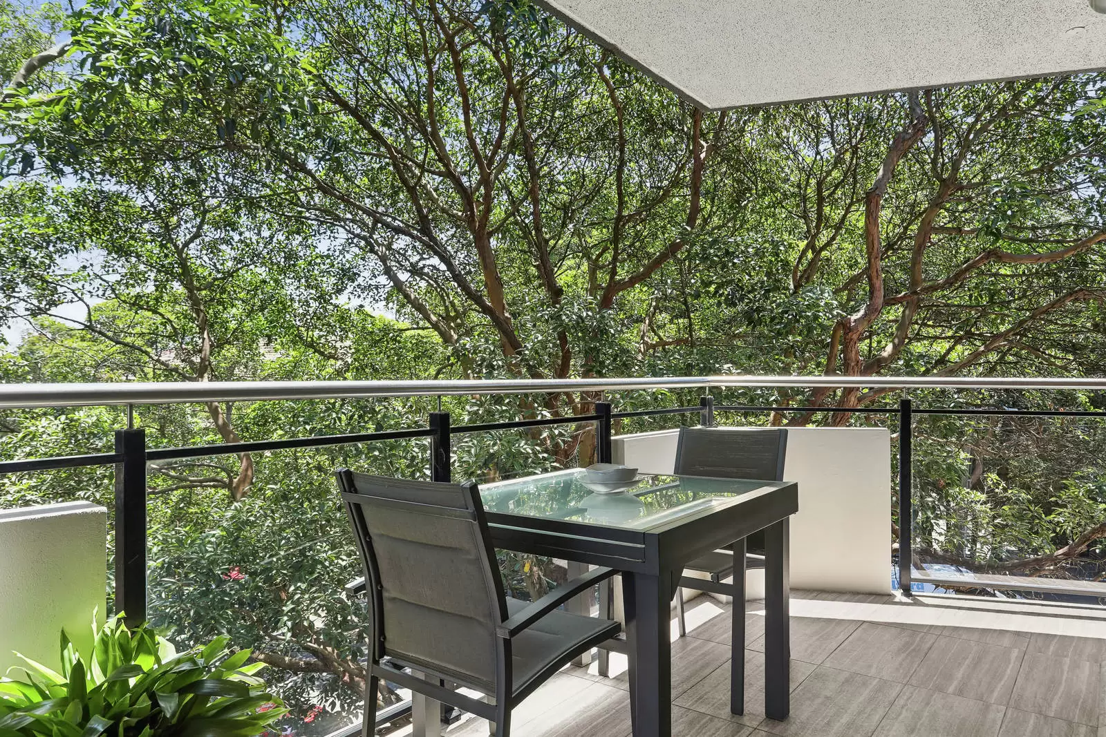 4/1 Frances Street, Randwick Auction by Sydney Sotheby's International Realty - image 5