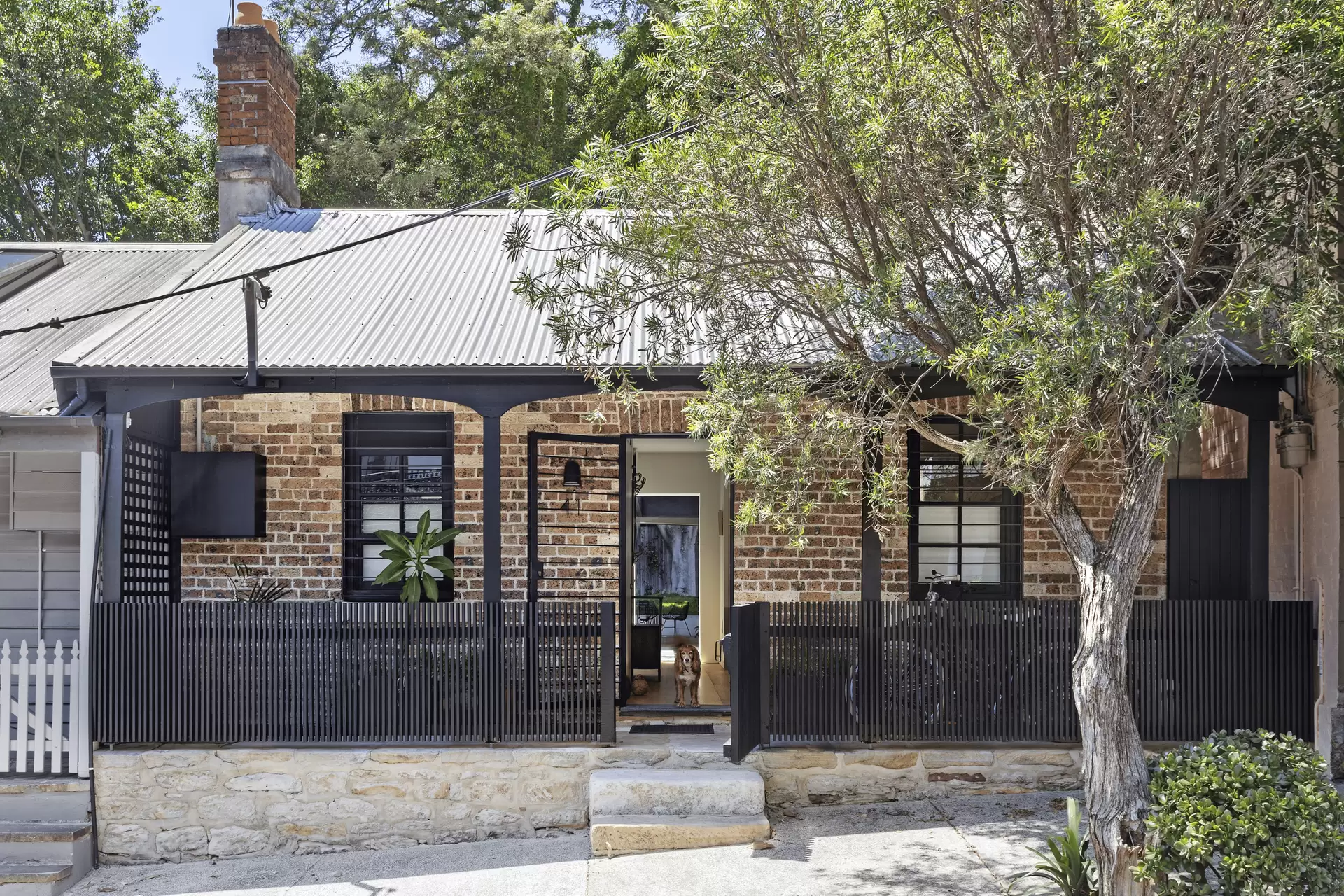 41 Comber Street, Paddington Auction by Sydney Sotheby's International Realty - image 1