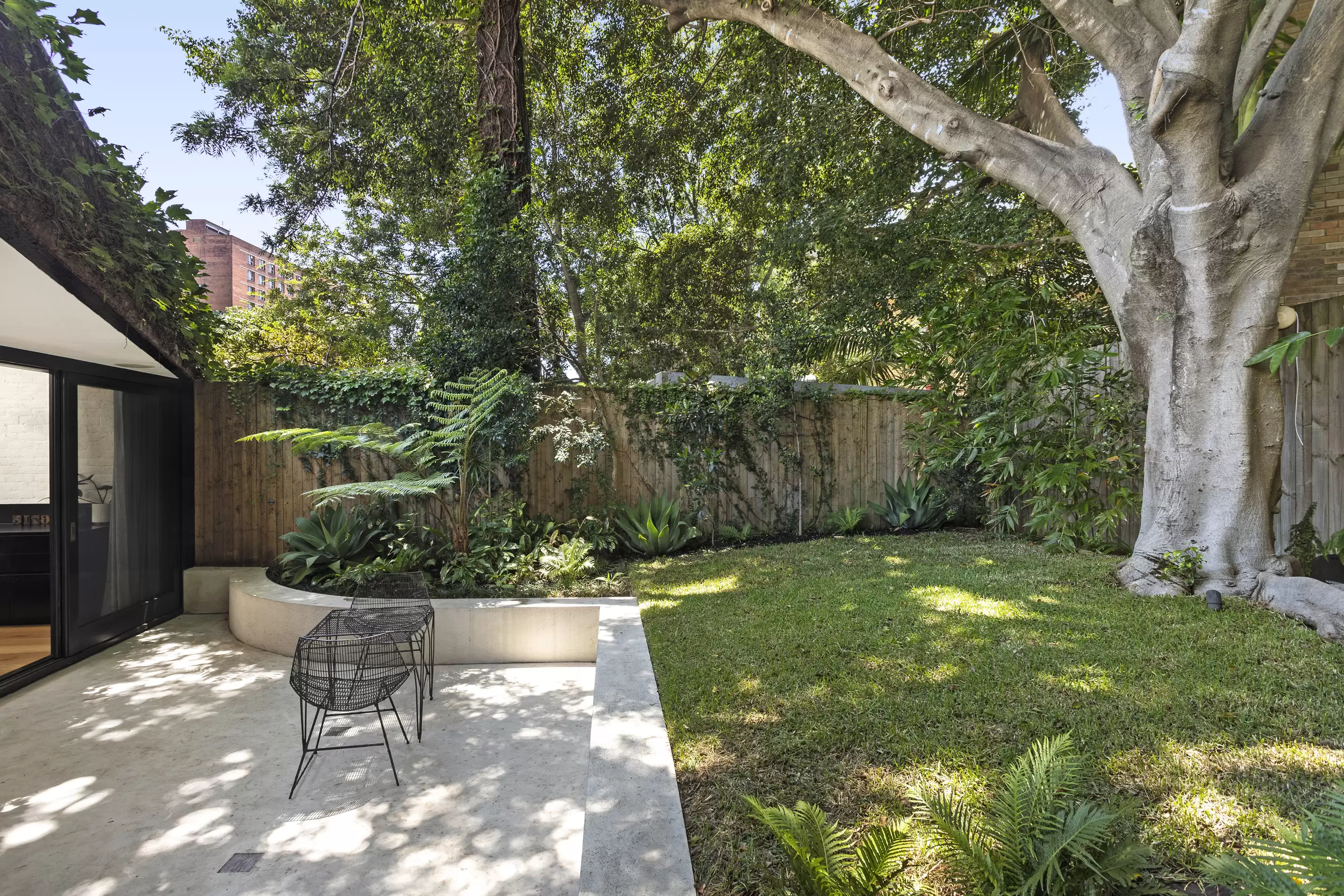 41 Comber Street, Paddington Auction by Sydney Sotheby's International Realty - image 3